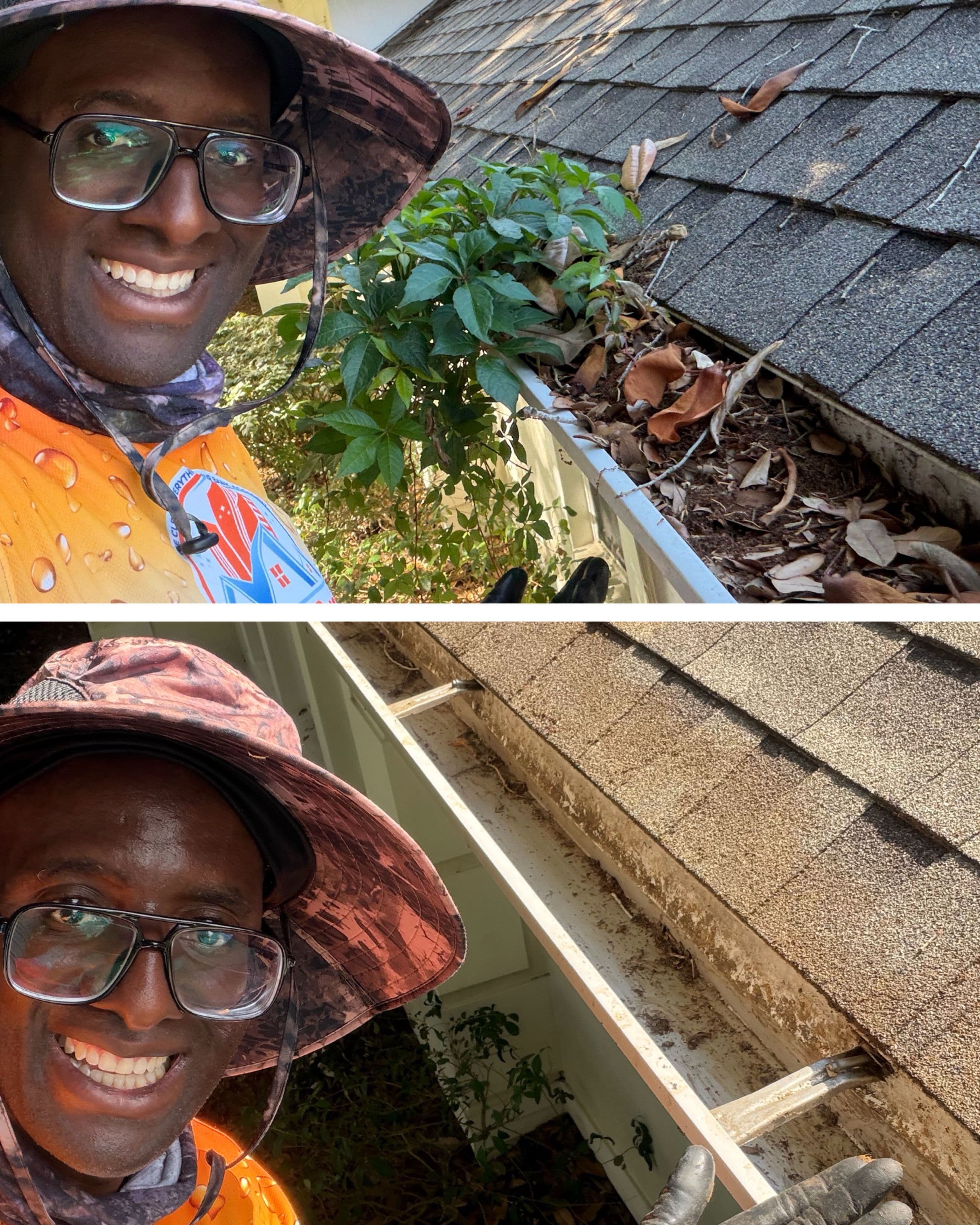 Project Gutters Growing Plants? This Windermere Home Needed Help image