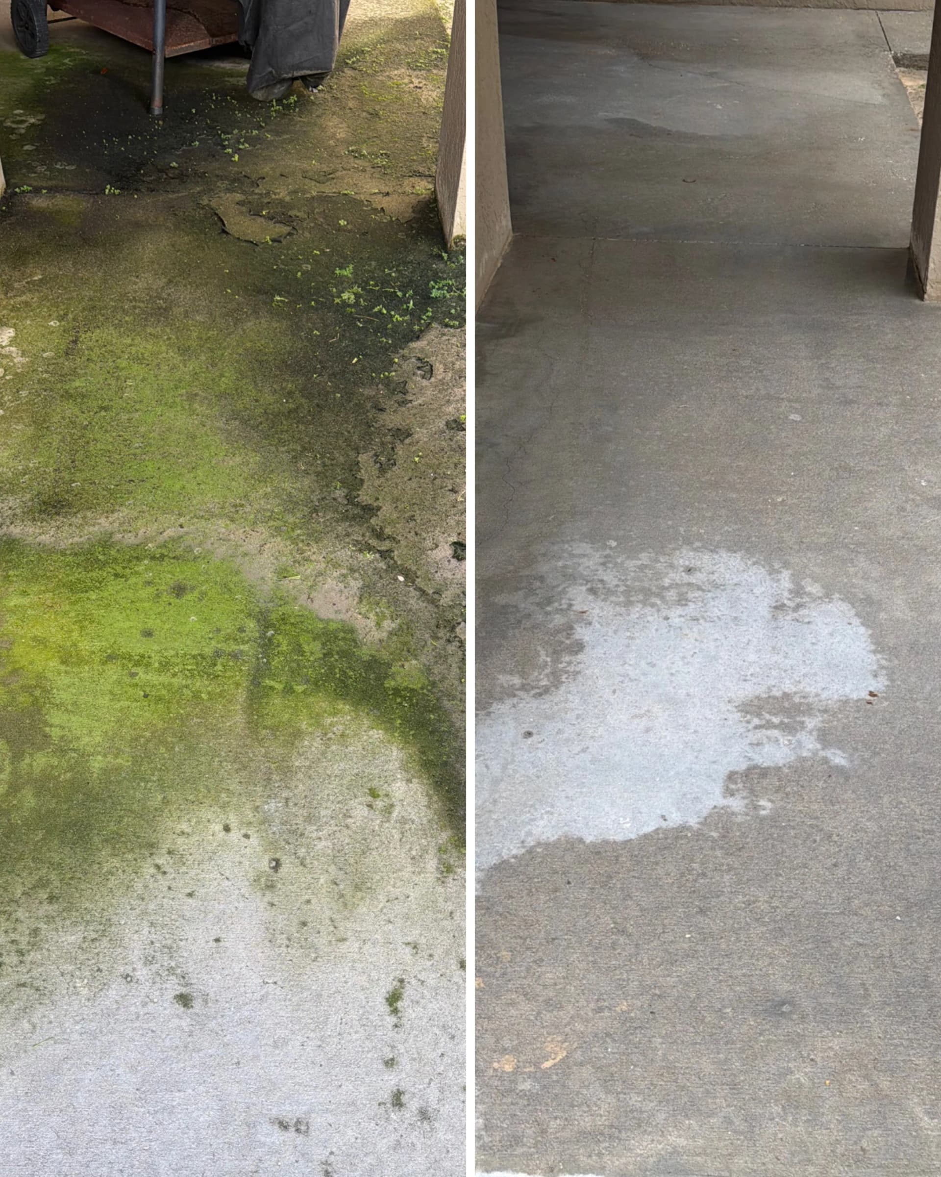 Patio Concrete Cleaning in Winter Garden Removes Heavy Green Buildup image