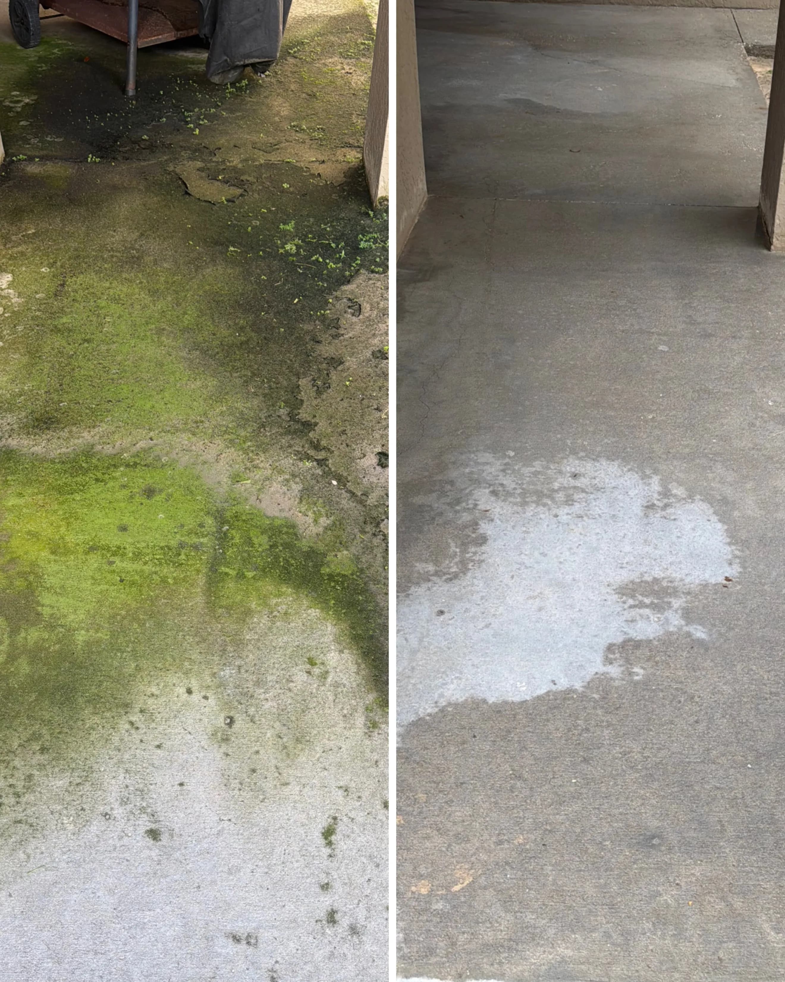 Project Patio Concrete Cleaning in Winter Garden Removes Heavy Green Buildup image