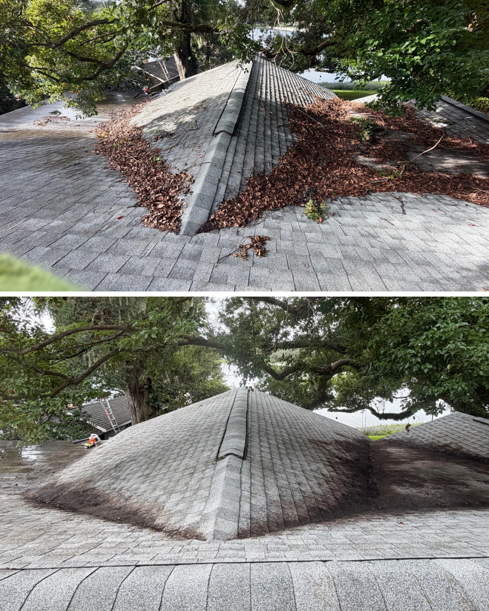 Roof Cleaning for an Orlando Home Buried in Debris image