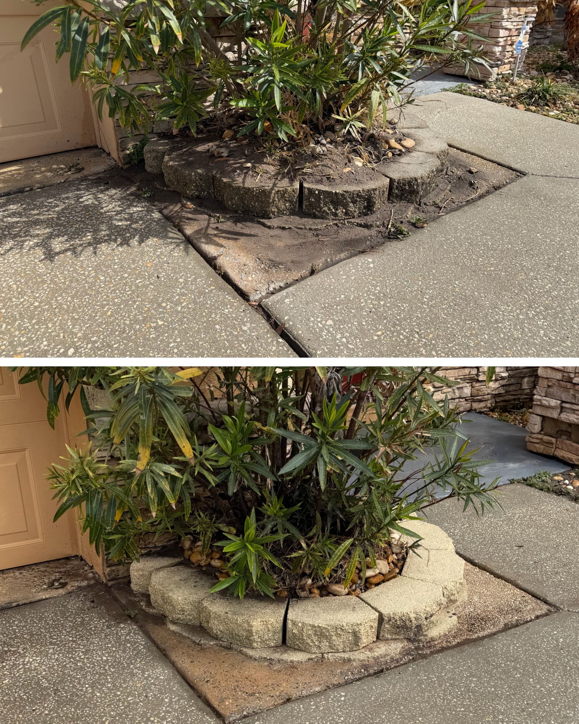 Garden Boost with Pure Pressure Wash in Orlando