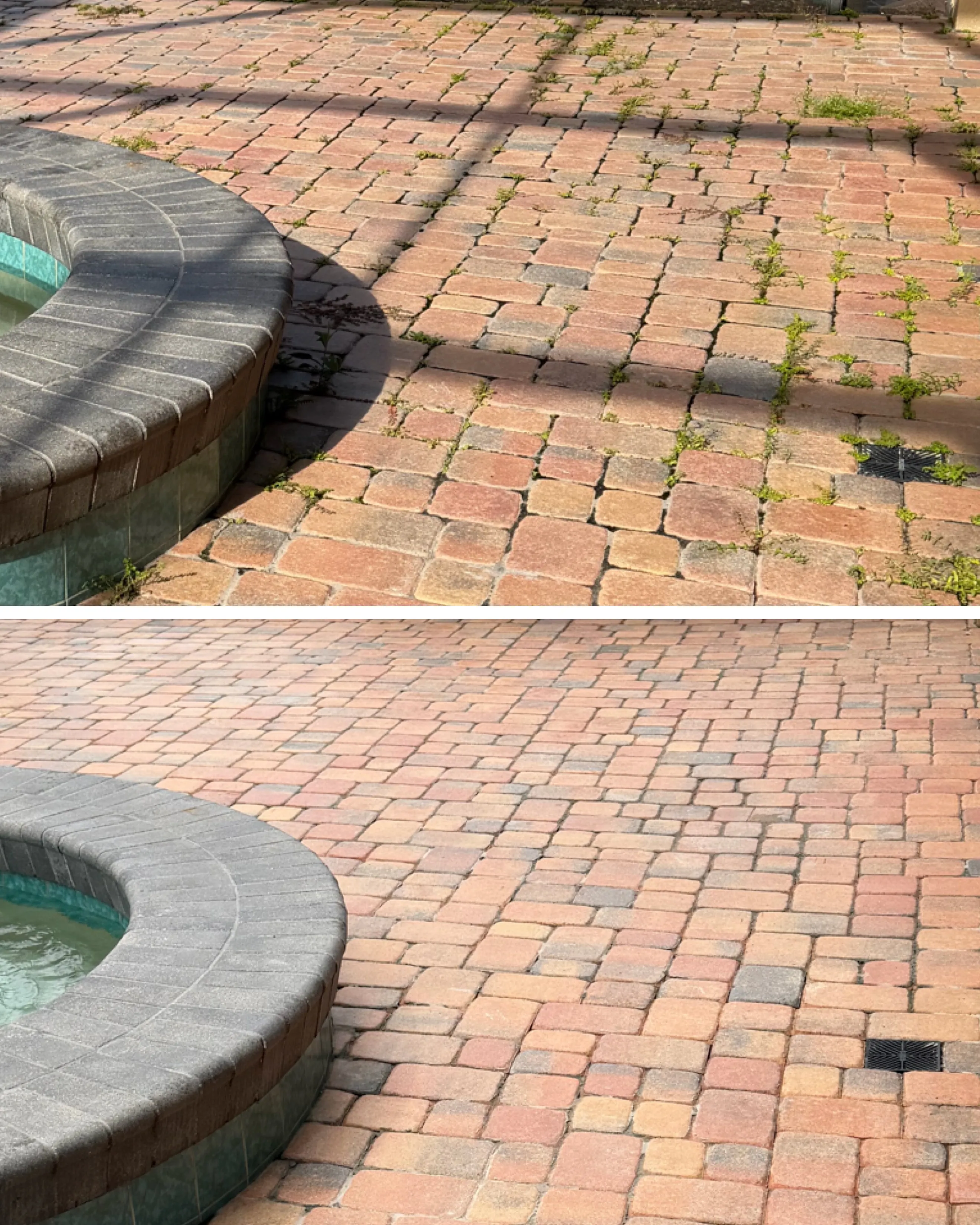 Project Pool Deck Paver Cleaning in Longwood That Actually Delivers image