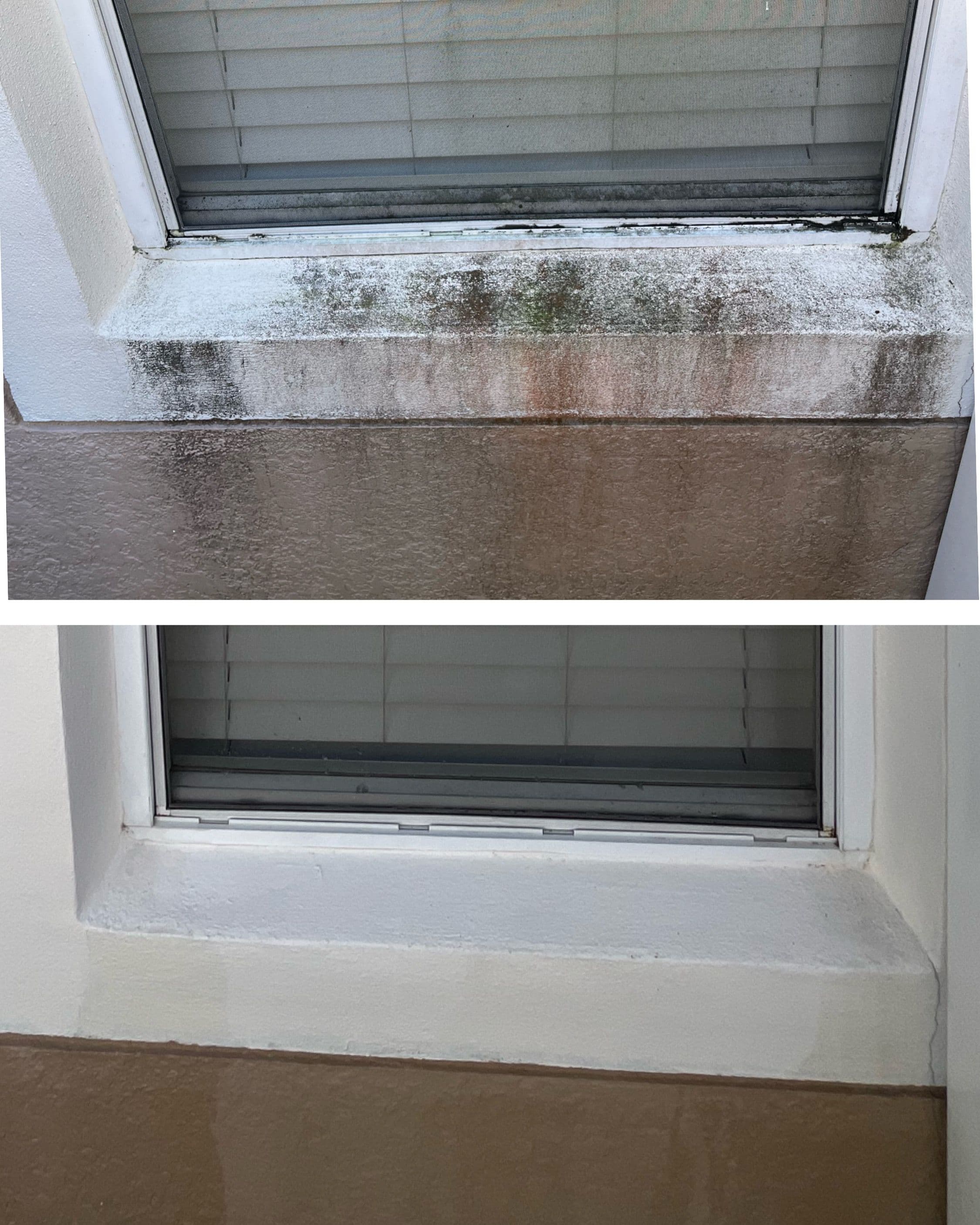 Project Window Cleaning in Oviedo - Brightening Up Your Views image