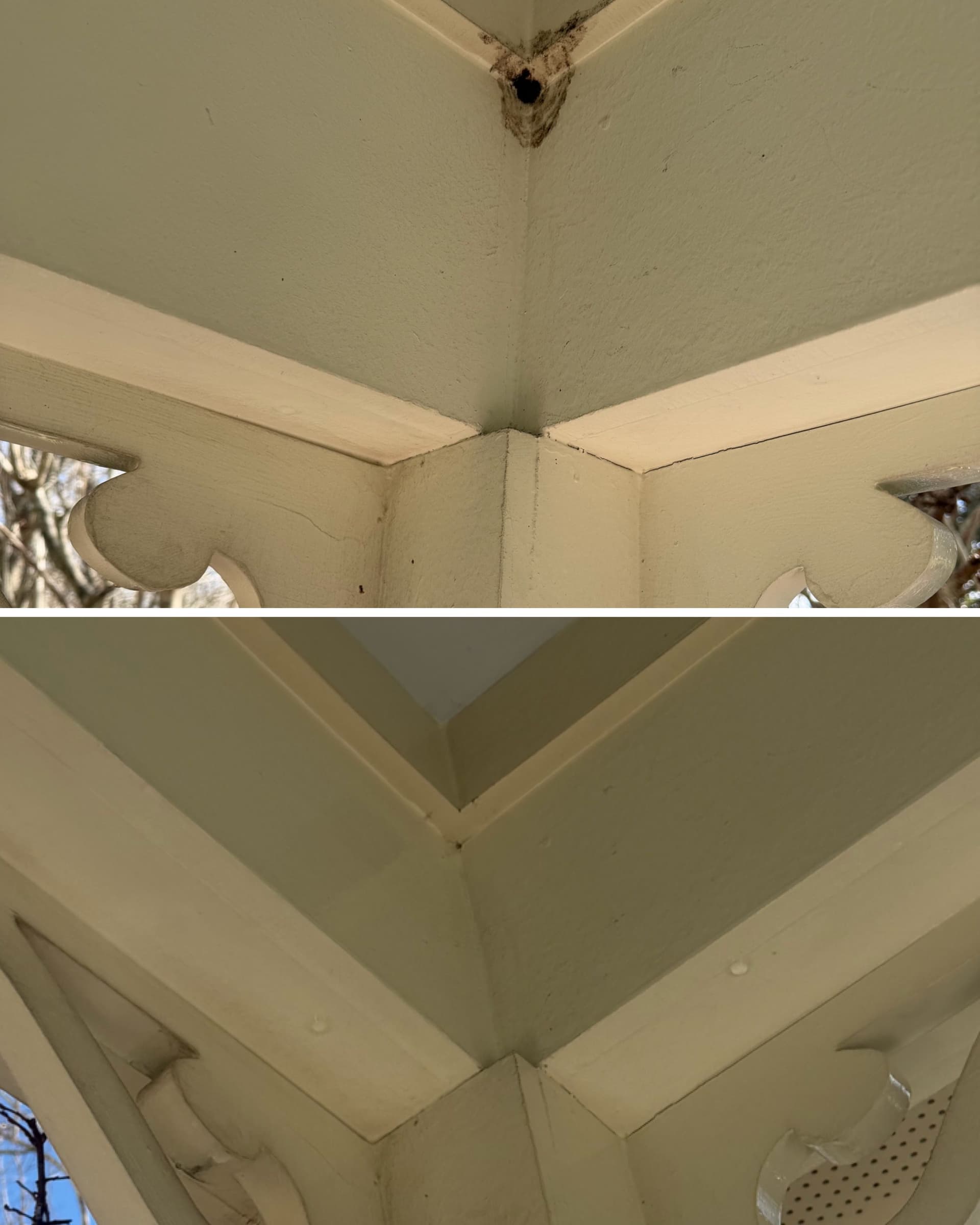 Mud Dauber Removal and House Washing in Baldwin Park Orlando