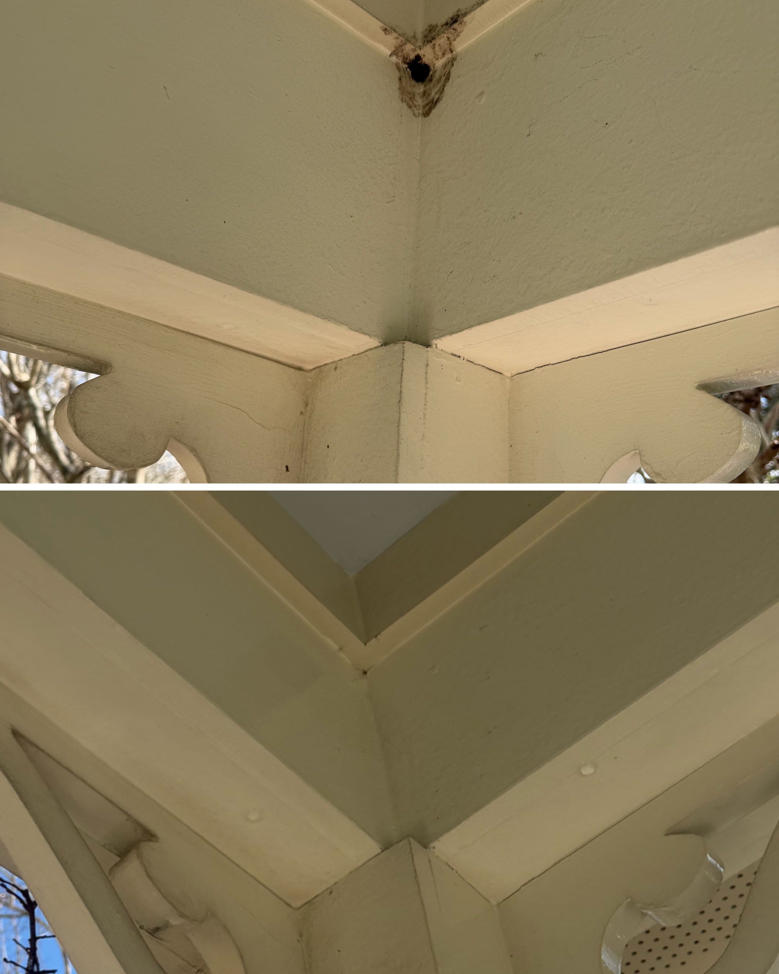 Project Mud Dauber Removal and House Washing in Baldwin Park Orlando image