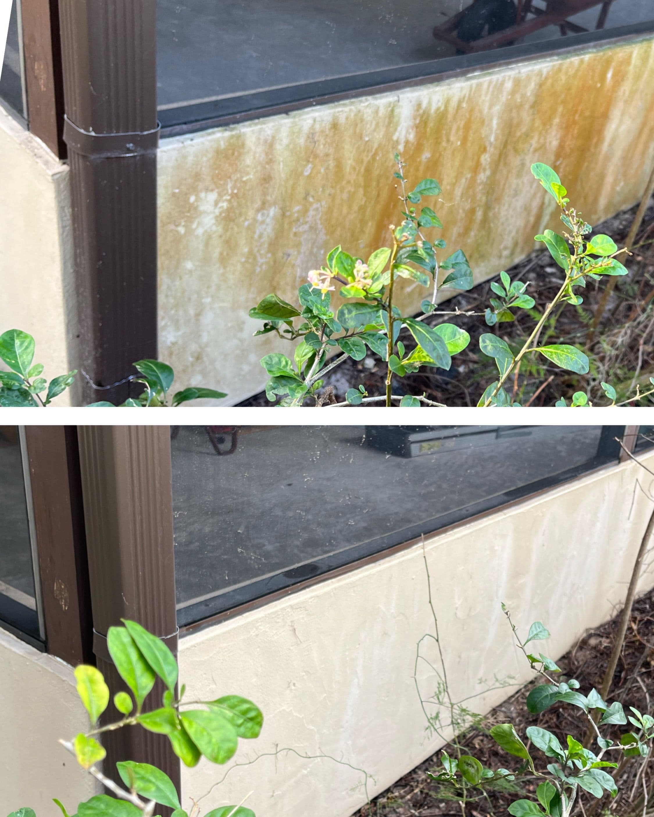 Project House Wash at Belle Isle image