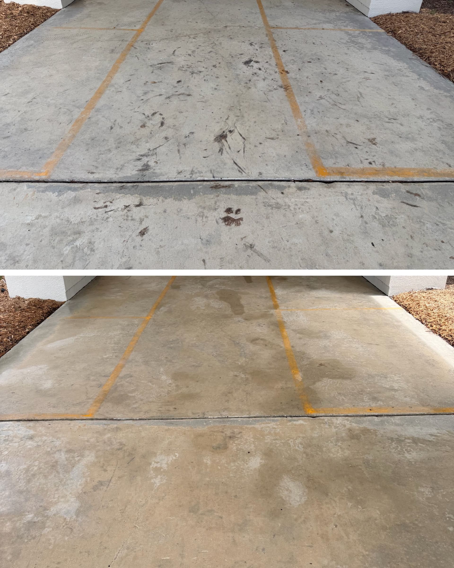 Casselberry School Entryway Gets a Fresh Start With Pressure Washing image