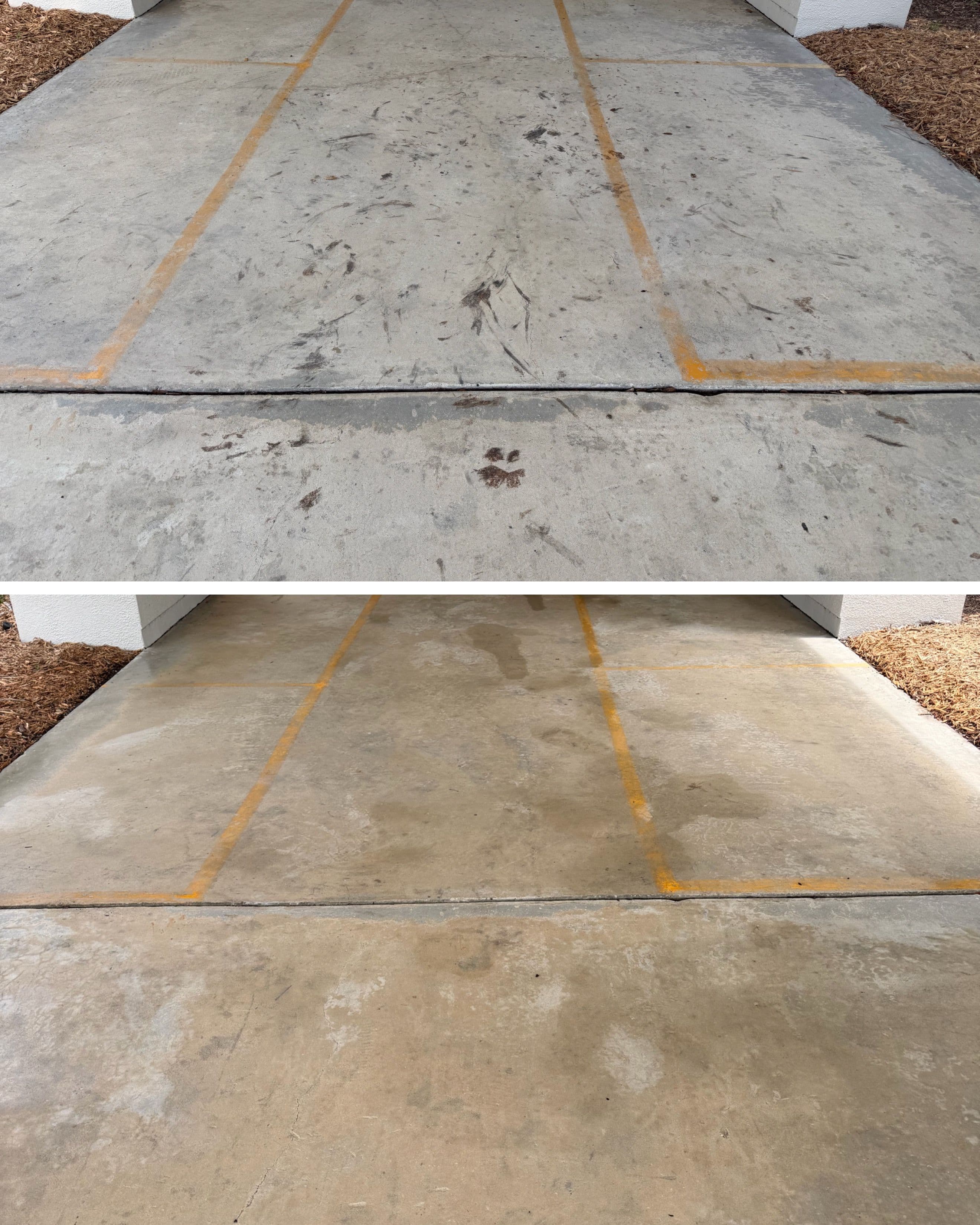 Project Casselberry School Entryway Gets a Fresh Start With Pressure Washing image