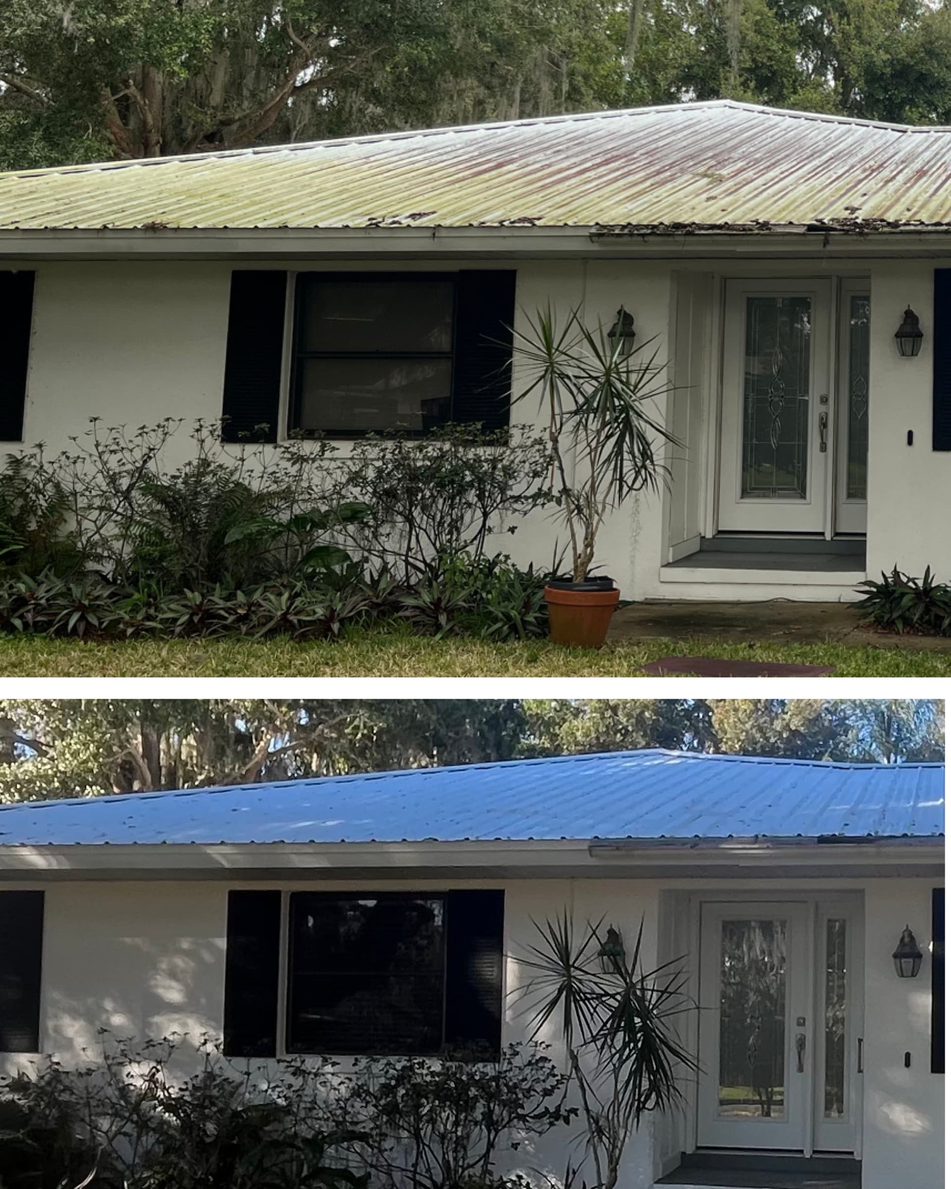 Roof Cleaning Magic in Belle Isle