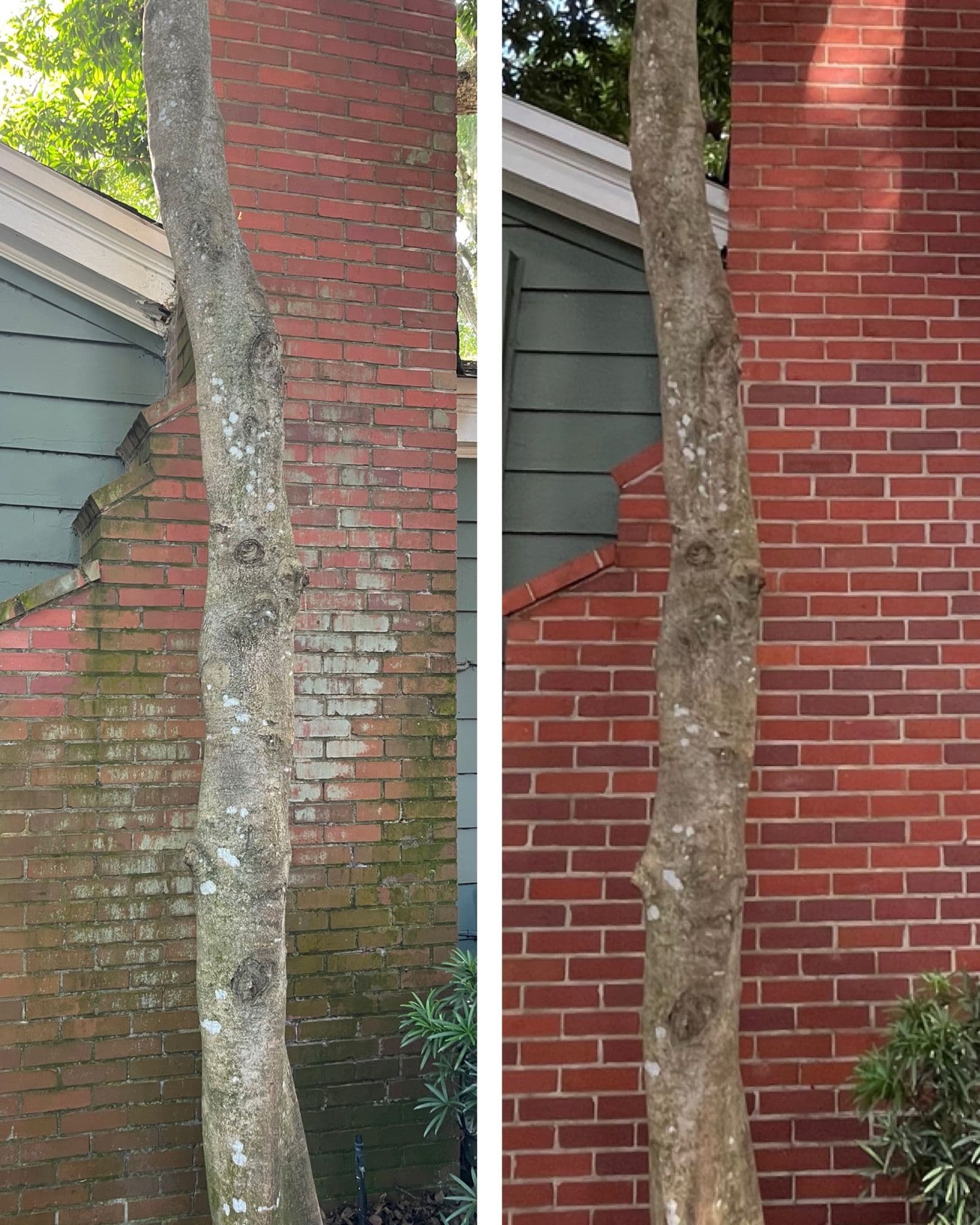 Revitalized Brick Wall in Orlando image