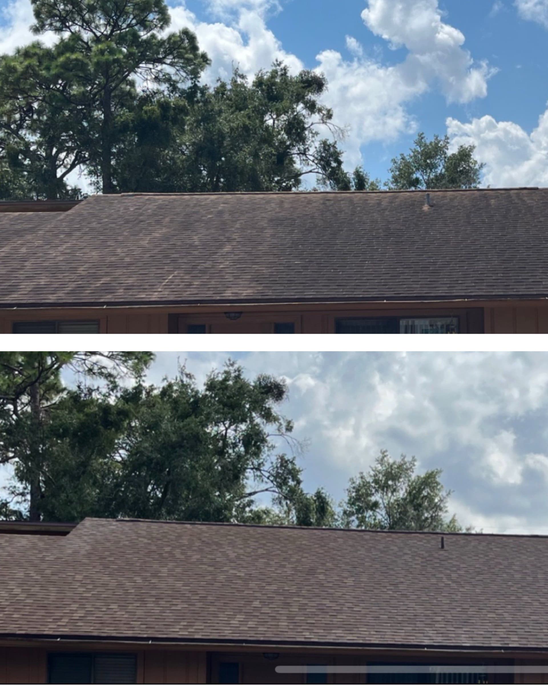 Stunning Roof Revival in Casselberry Florida image