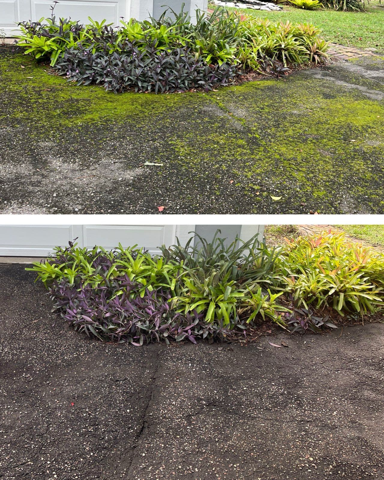 Asphalt Driveway Cleaning in Winter Springs image