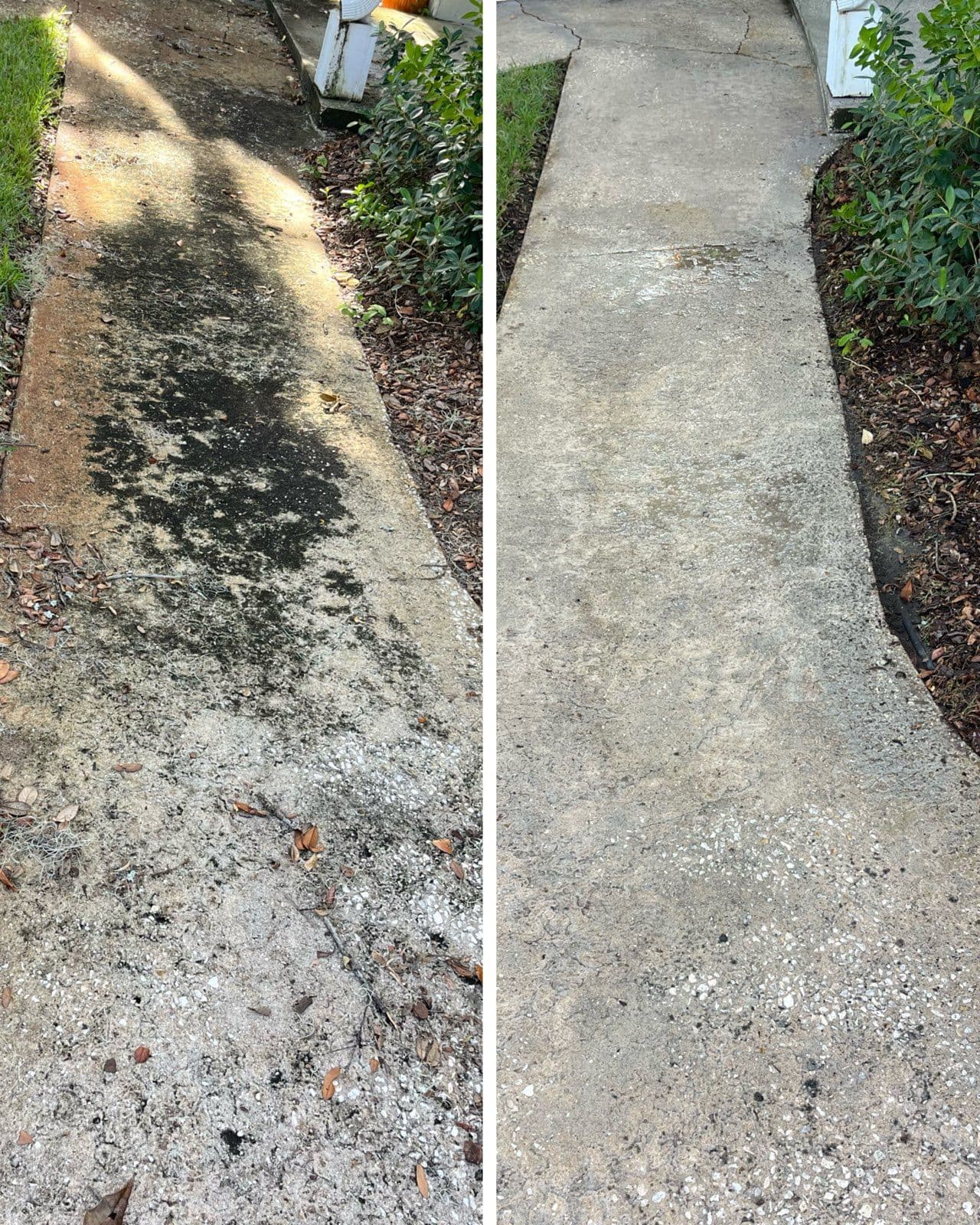 Concrete Walkway Transformation in Titusville image