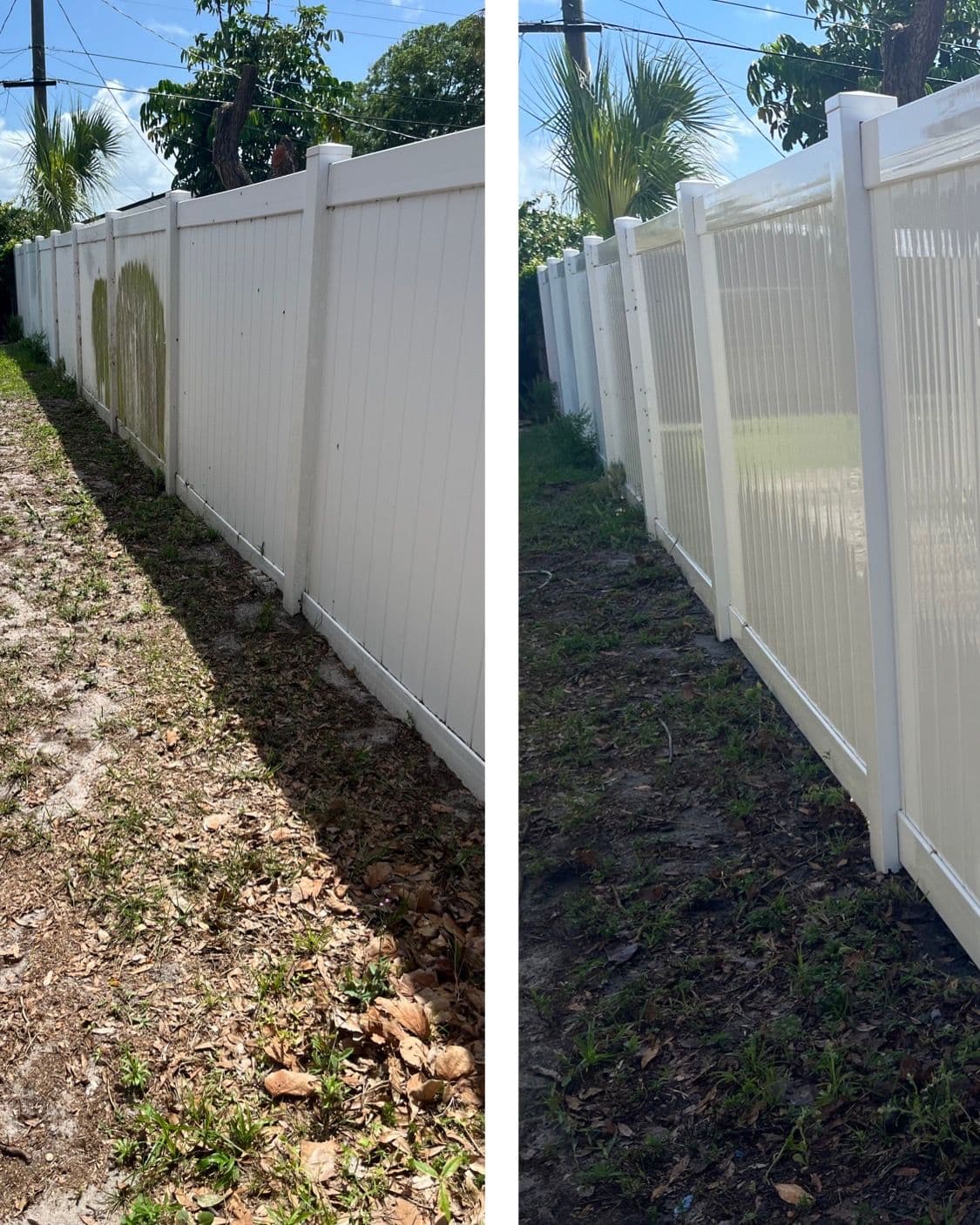 Project Fence Revival in West Melbourne image