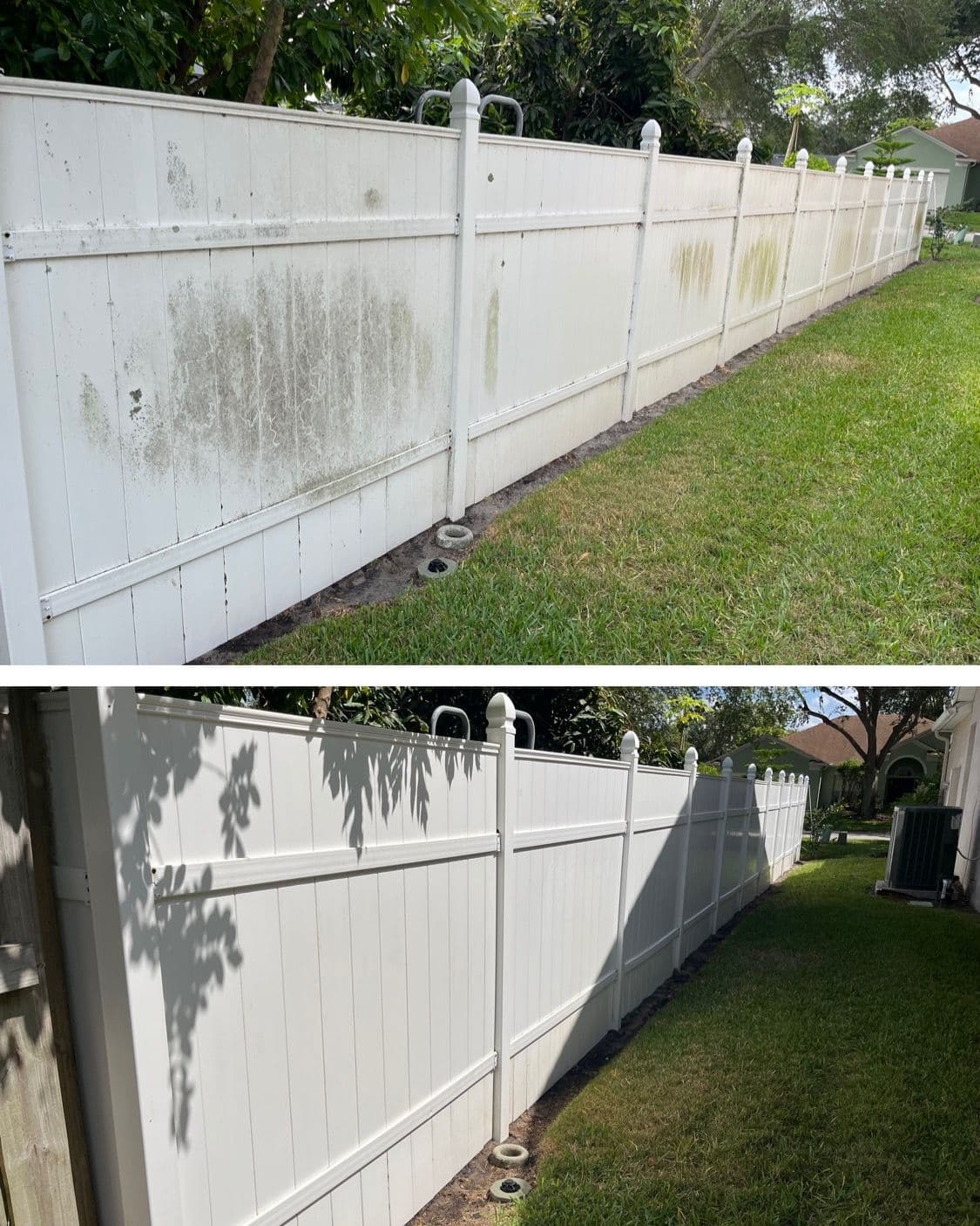 Project Ocoee FL Backyard Fence Gleaming Transformation image