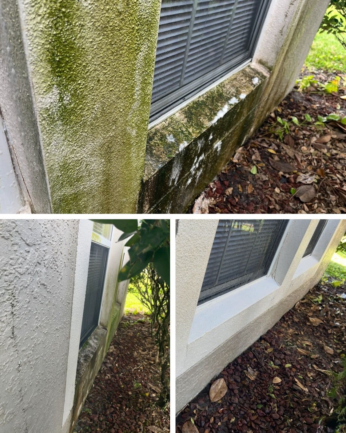 Project Exterior Transformation in Orlando Windows Shine Bright image