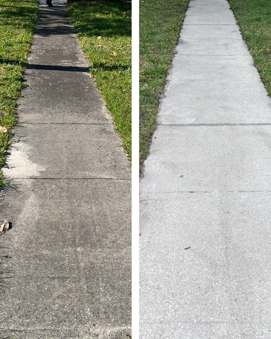 Transform Your Sidewalk with Expert Cleaning in Winter Park image