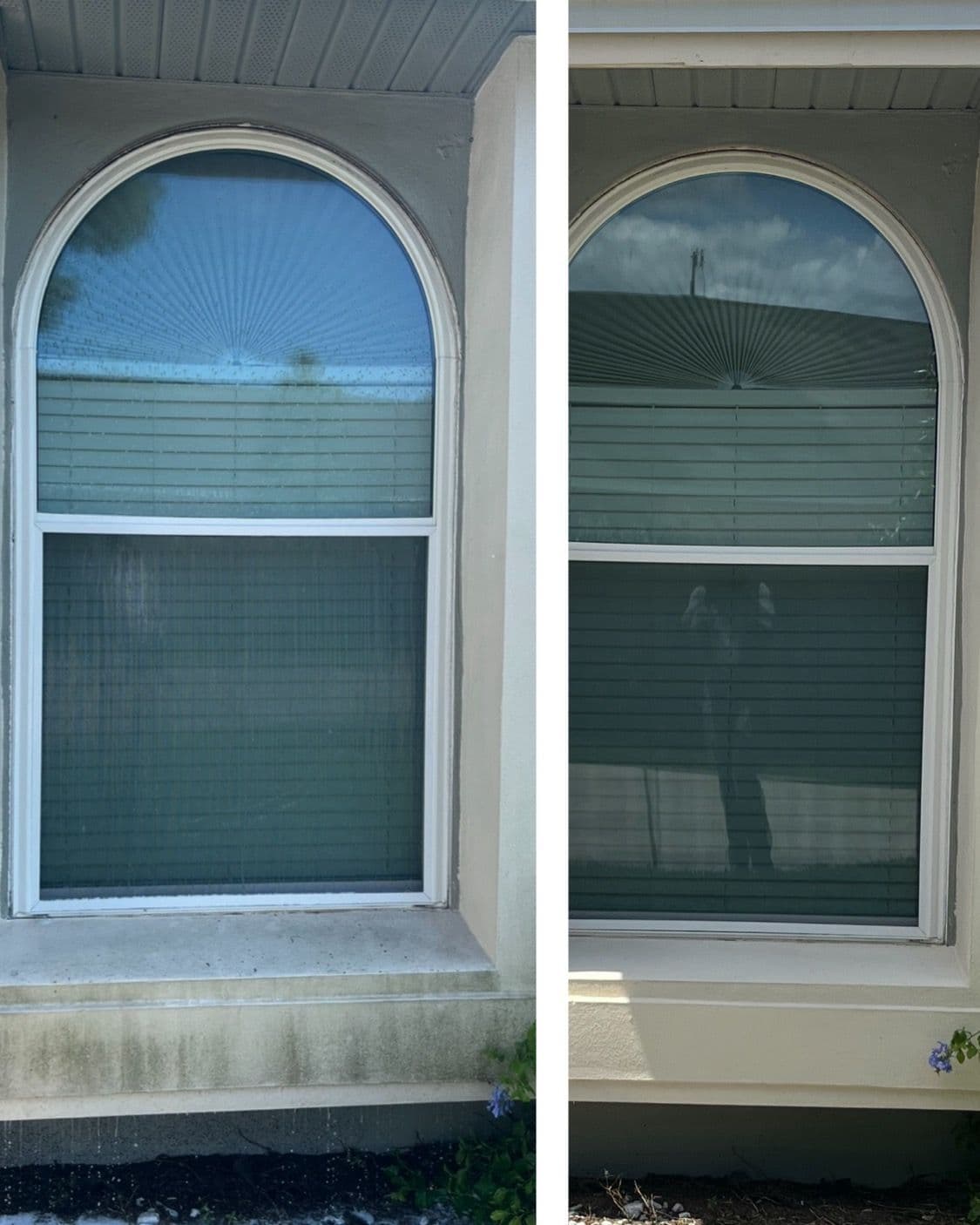 Dazzling Windows Revolution in Goldenrod FL image