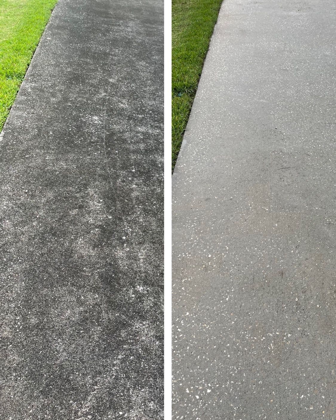 Dramatic Concrete Patio Transformation in Orlando image