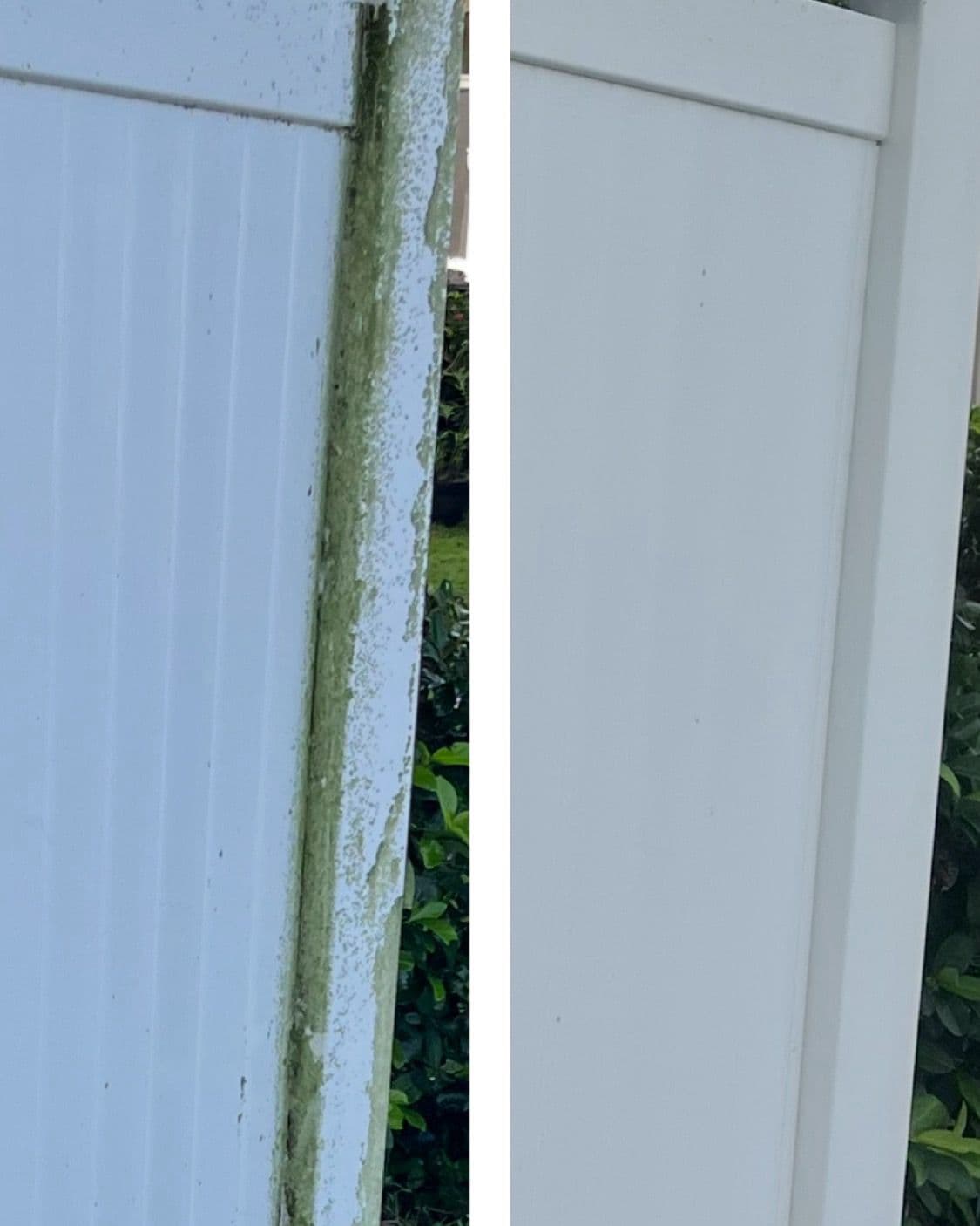 Project Oakland FL Fence Transformation with Pressure Wash image