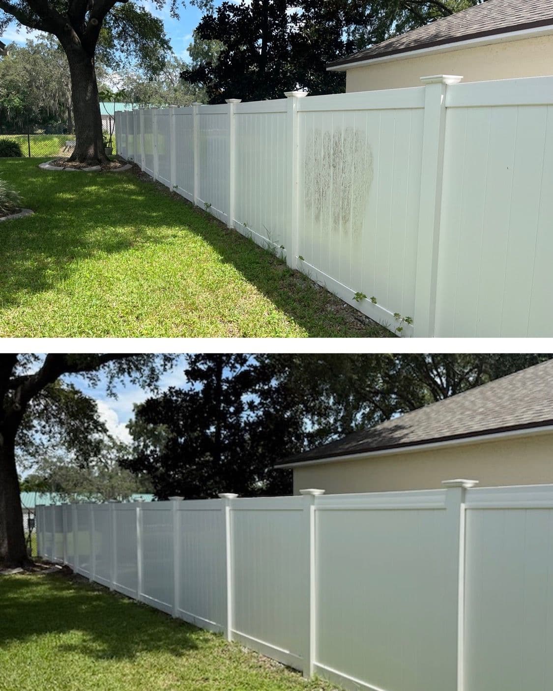 Stunning Fence Renewal with Pressure Washing Magic image