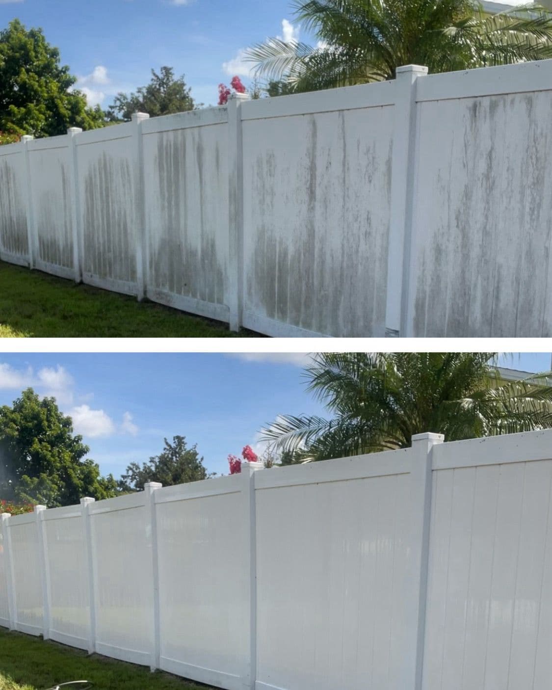 Orlando FL Fence Cleaning Success Story image