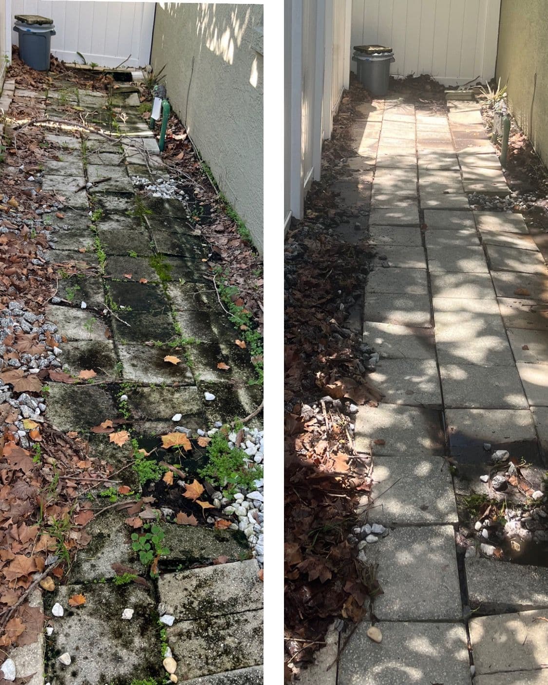 Orlando FL Sidewalk Transformed by Expert Pressure Wash image