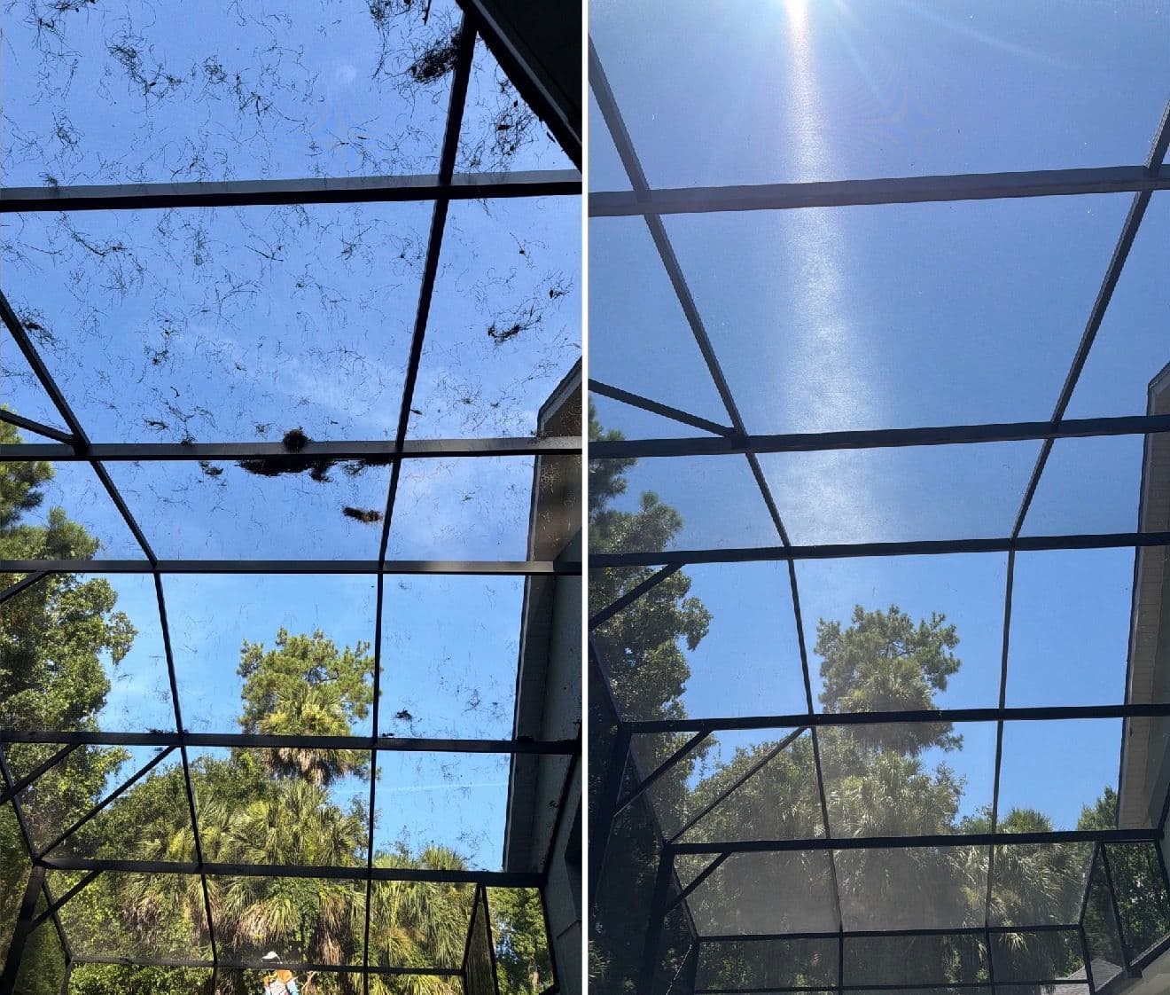 Screen Enclosure Cleaning in Sanford FL Clears Out Pine Needle Buildup image