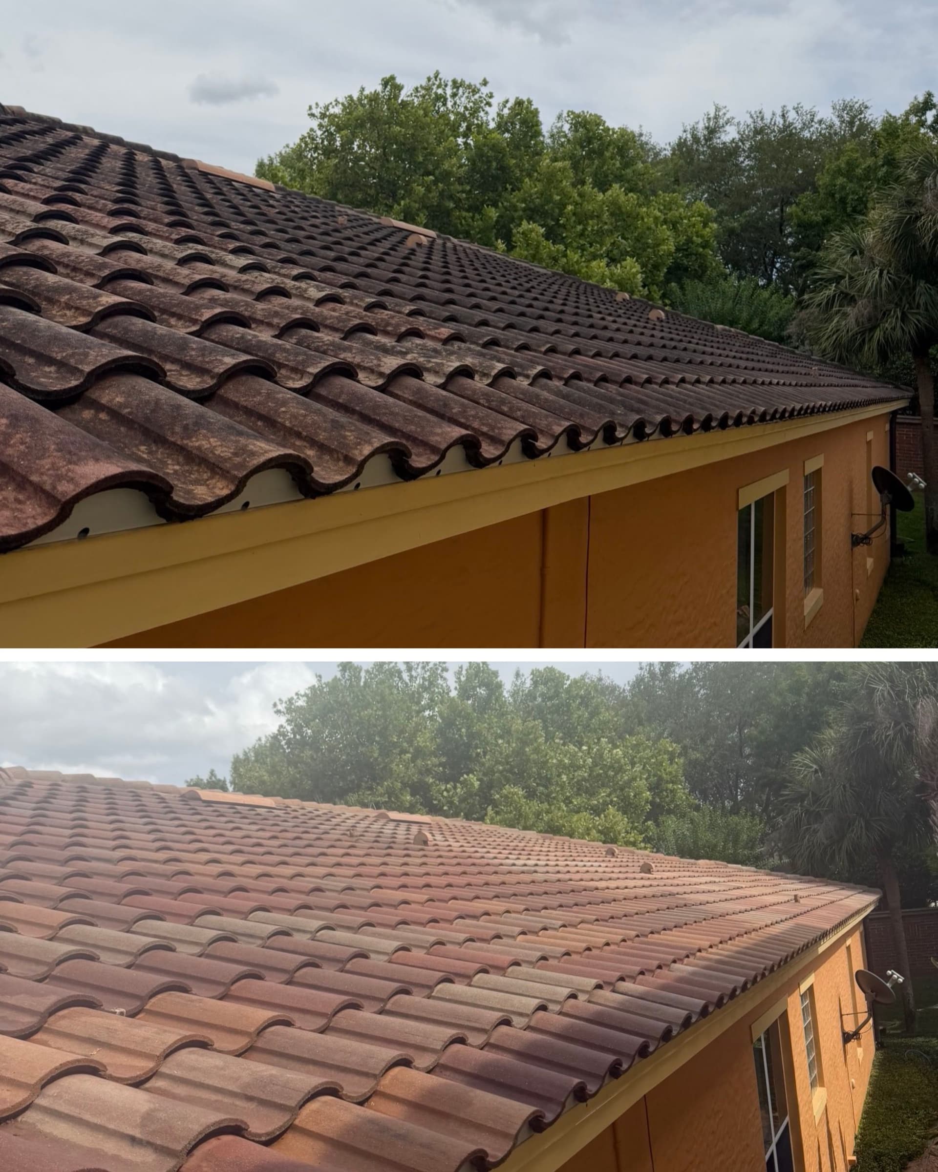 Barrel Tile Roof Cleaning in Maitland That Actually Works image