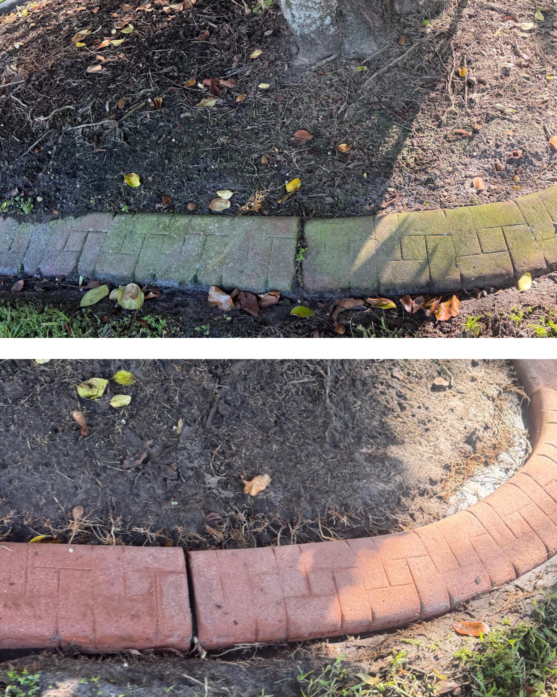 Patio Bed Border Cleaning in Oviedo That Actually Makes a Difference image
