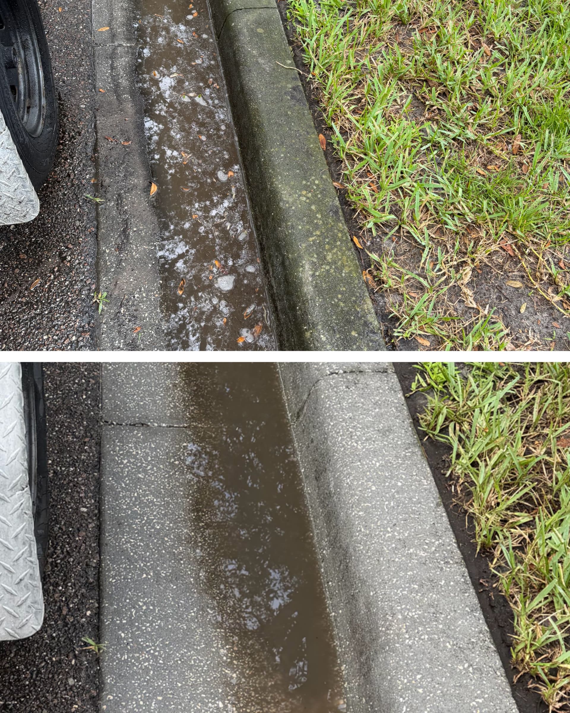 Curb Line Cleaning in Avalon Park That Makes a Difference image
