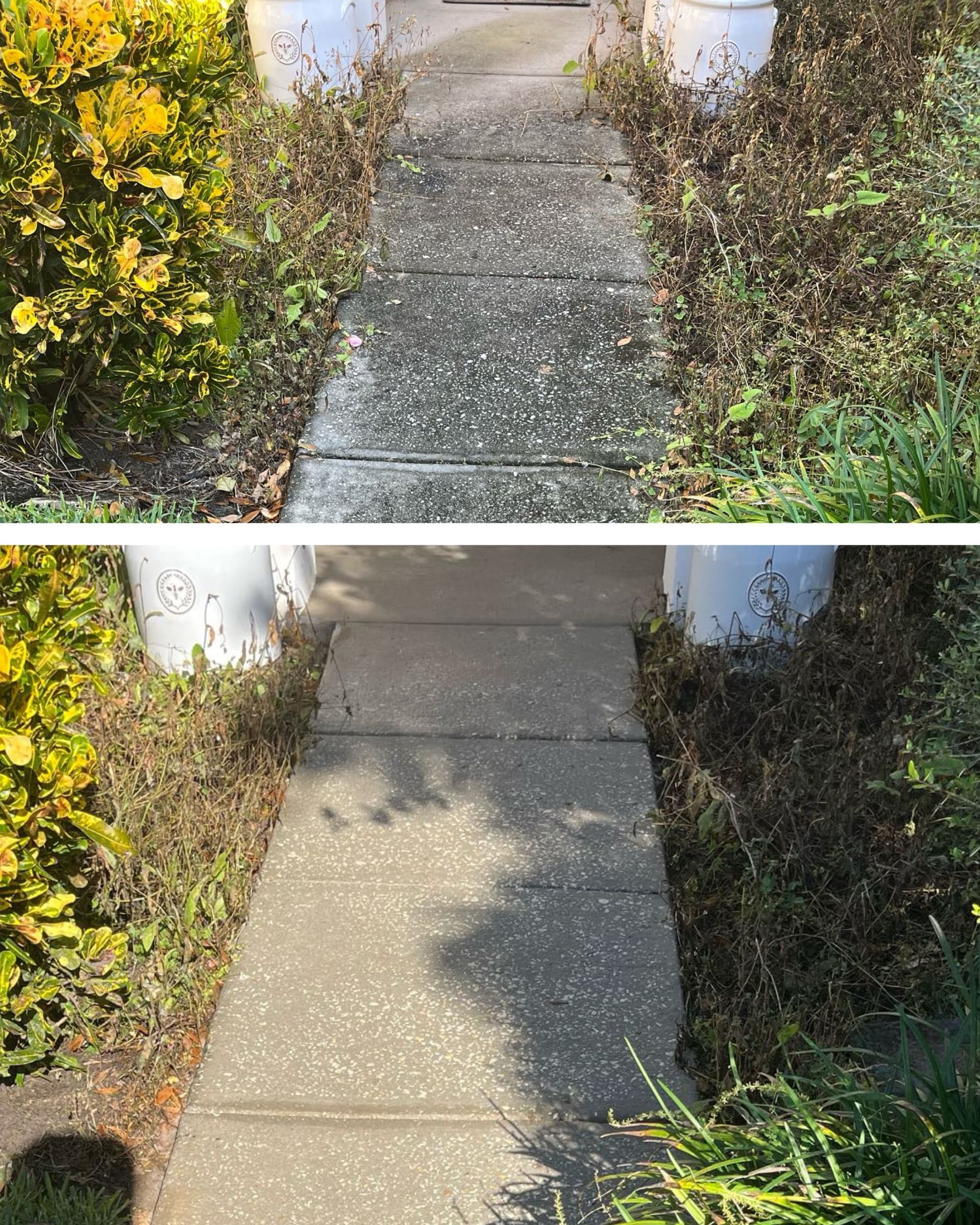 Sidewalk Cleaning in Oviedo FL image