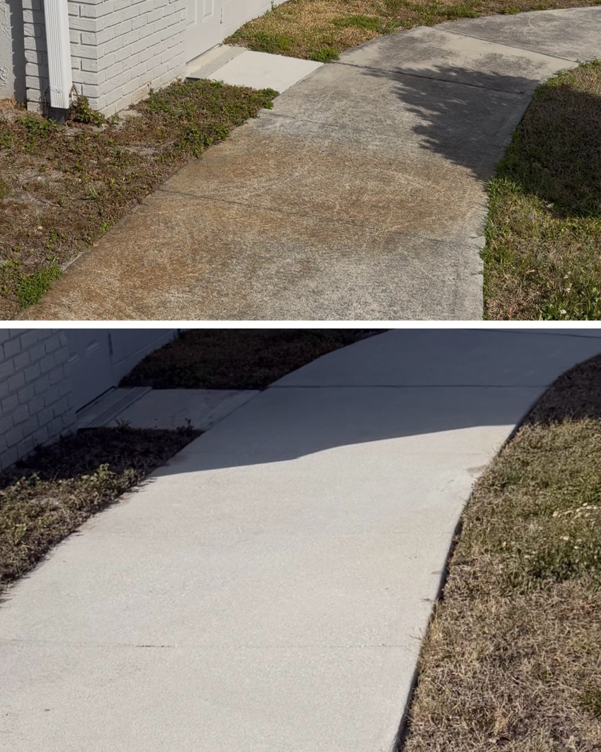 Pathway Transformation in Oviedo FL image